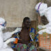OMS declara emergencia por brote de ébola en Congo