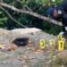 Hallan dos cadáveres con impactos de bala en un precipicio
