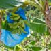 Agricultores alertan minería afectaría cultivos