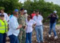 Más de 400 brigadistas retiran sargazo en Barahona