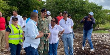 Más de 400 brigadistas retiran sargazo en Barahona