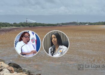 Admiten sargazo «supera capacidad de respuesta» en Barahona