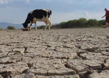 INDOMET advierte posible disminución de lluvias