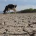 INDOMET advierte posible disminución de lluvias