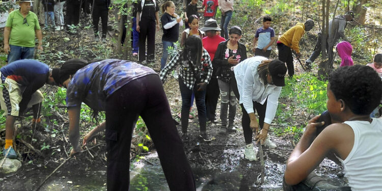 Rescate Laguna del Majagual en Matanzas