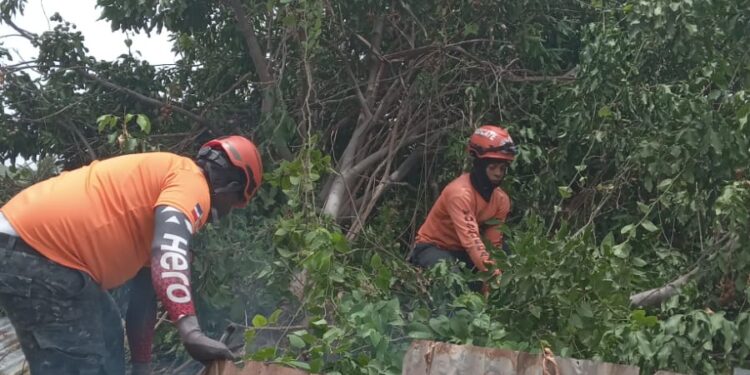 Fuerte ventarrón derriba árbol sobre vivienda en Barahona
