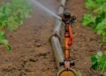 Agricultores de Mena Abajo denuncian apagones y falta de agua