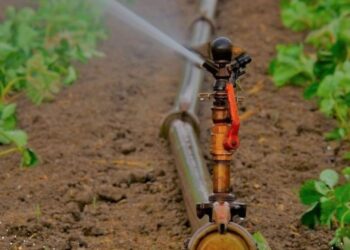 Agricultores de Mena Abajo denuncian apagones y falta de agua