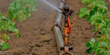 Agricultores de Mena Abajo denuncian apagones y falta de agua
