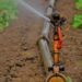 Agricultores de Mena Abajo denuncian apagones y falta de agua