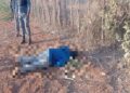 Apresan a uno de dos señalados por muerte en Oviedo