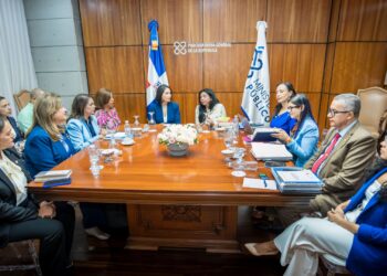 GANA y Conani analizan reforma al Código de Niñez
