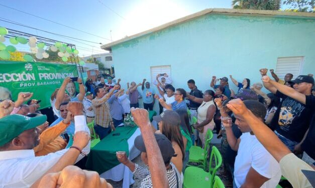Fuerza del Pueblo anuncia jornada política y organizativa