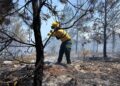 Incendio forestal lleva cuatro días en Sierra de Bahoruco