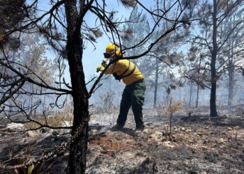 Incendio forestal lleva cuatro días en Sierra de Bahoruco
