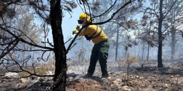 Incendio forestal lleva cuatro días en Sierra de Bahoruco