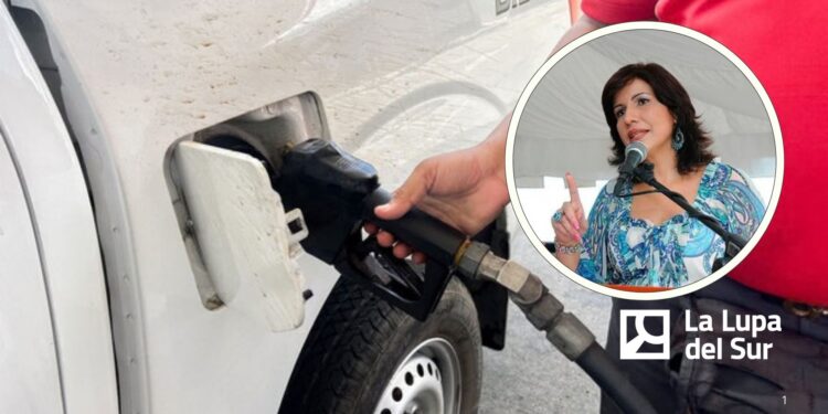 Margarita Cedeño cuestiona alzas de combustibles