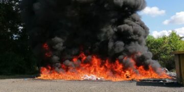Inacif destruye más de dos toneladas de cocaína y marihuana