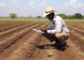 Día de los agrónomos