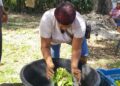 Segunda versión de su mercado de productores en La Guazara