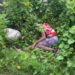 Joven muerto en Cabral