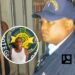 Se entrega acusado de amenazar al director de escuela en Paraíso