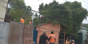 Caída de árbol afecta dos casas en Barahona