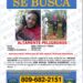 Muere hombre en supuesto enfrentamiento en Los Ríos