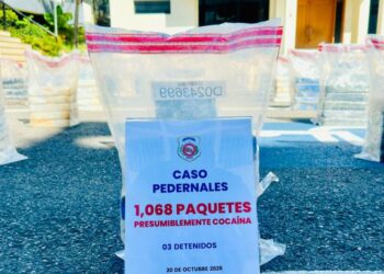 DNCD ocupa 1,068 paquetes de presunta cocaína en Pedernales