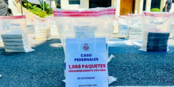 DNCD ocupa 1,068 paquetes de presunta cocaína en Pedernales