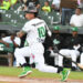 Estrellas vencen 8-3 al Escogido y siguen invictas