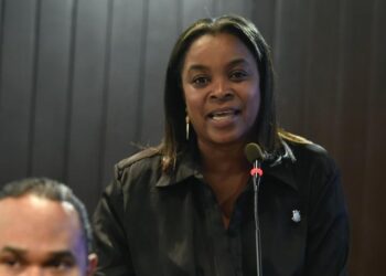 Millys Martínez truena en la Cámara de Diputados